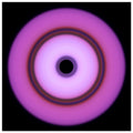 A circular form with magenta outer edges fading to white center, featuring a multicolored ring band and small black circle at the core.