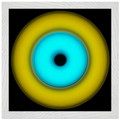 91fa313c-c294-4a08-87c8-83c208304987