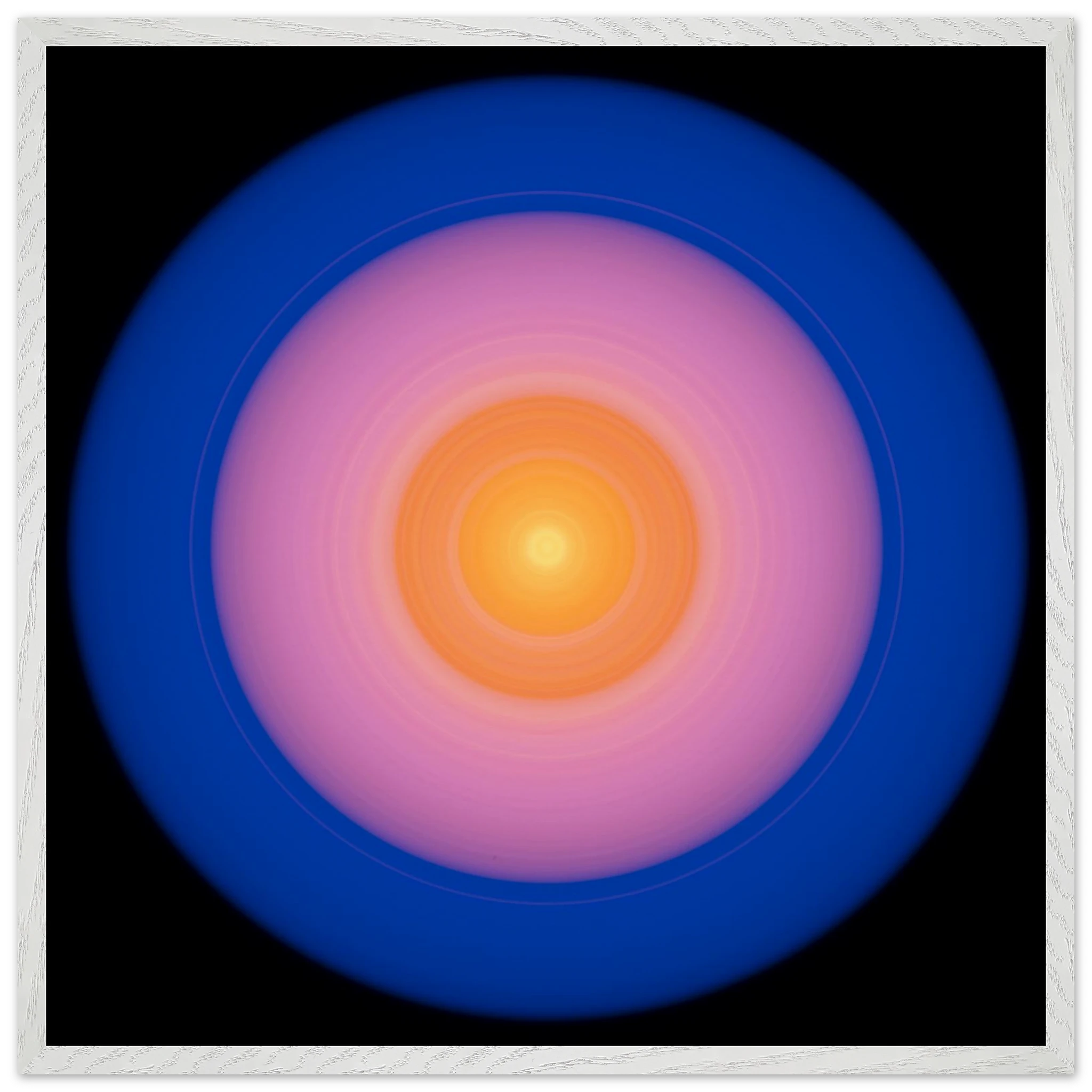 A circular disc with concentric color zones from bright yellow center through orange and coral pink to deep blue outer edge on black background.